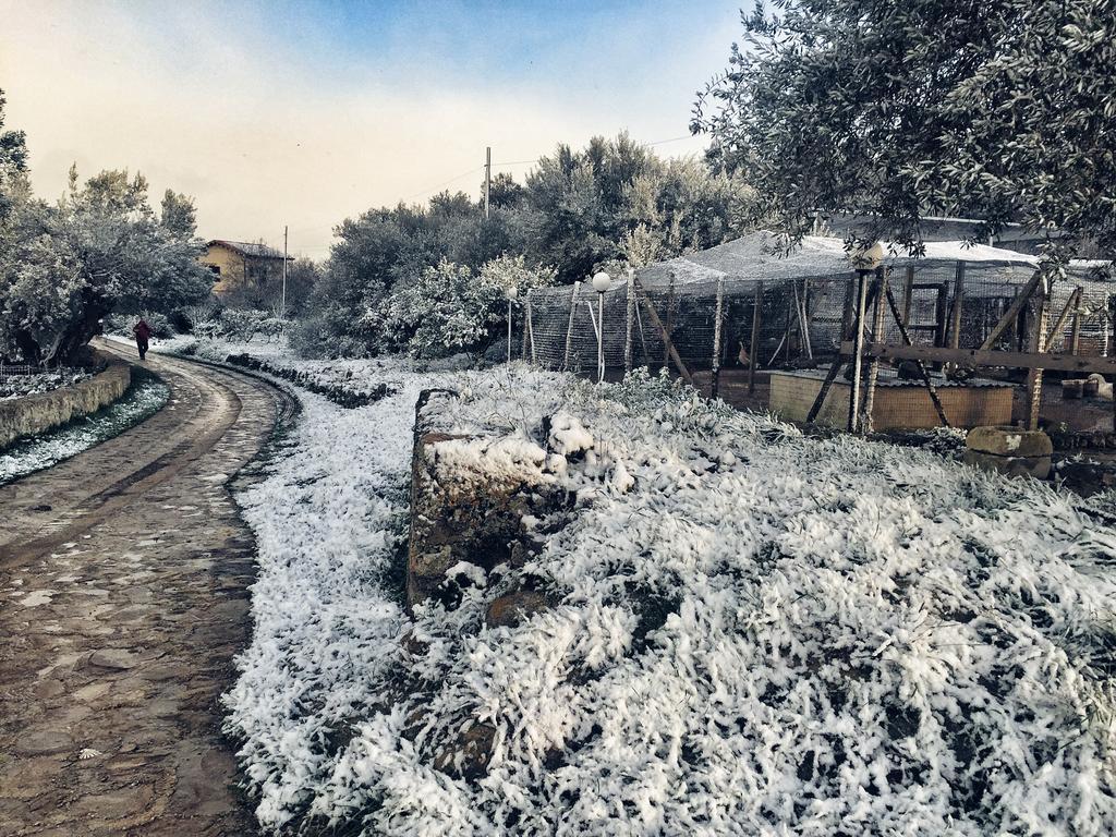 Coscio Di Badia Βίλα Naro Εξωτερικό φωτογραφία